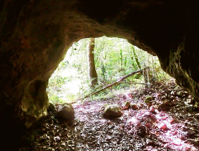  scopri il paesaggio che ci circonda 